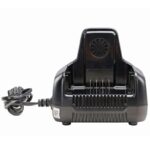 Быстрое зарядное устройство для двух аккумуляторов Greenworks G60DC10 60V 2954407 (10 А)