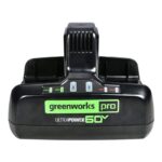 Быстрое зарядное устройство для двух аккумуляторов Greenworks G60DC10 60V 2954407 (10 А)