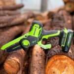 Цепная мини-пила Greenworks G24MCS10K5 24V 2008207UG (10 см) аккумуляторная  с 5 Ач аккумулятором и зарядным устройством