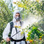 Садовый опрыскиватель Greenworks  G24BPSIIK5 24V 5300307UG (15 л) аккумуляторный с 5 Ач аккумулятором и зарядным устройством