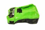 Зарядное устройство Greenworks G24C 24V 2932407 (1